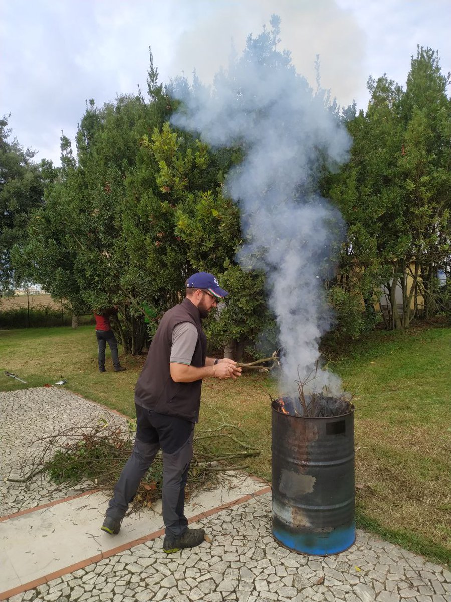 LifeSamfix's tweet image. Today with the support of the Carabinieri Forestali we pruned some laurel plants in the @Parco_Circeo infested by #Xylosandrus. We implemented mechanical control.

#circeo #samfix #lifeprogramme #alloro @LIFEprogramme