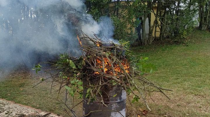 LifeSamfix's tweet image. Today with the support of the Carabinieri Forestali we pruned some laurel plants in the @Parco_Circeo infested by #Xylosandrus. We implemented mechanical control.

#circeo #samfix #lifeprogramme #alloro @LIFEprogramme