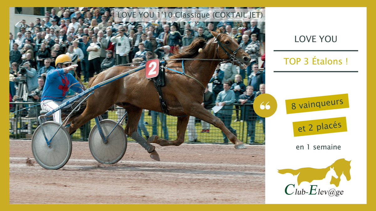 ClubElevage's tweet photo. #LoveYou 1'10 Classique (#CoktailJet) TOP 3 Étalons !⁣
8 vainqueurs et 2 placés en 1 semaine⁣
🏆 HIGUAIN DE LOU 1'12, GIPSY DU RIED 1'12, GOLDY D'ATOUT 1'13, ...⁣
🥈 IF I TELL YOU 1'12⁣
🥉 HOUSTON OF LOVE 1'17⁣
⁣
📝 Actu, parts et saillies https://t.co/M8UHtqec5X
⁣ https://t.co/Z9VdSEWlfQ
