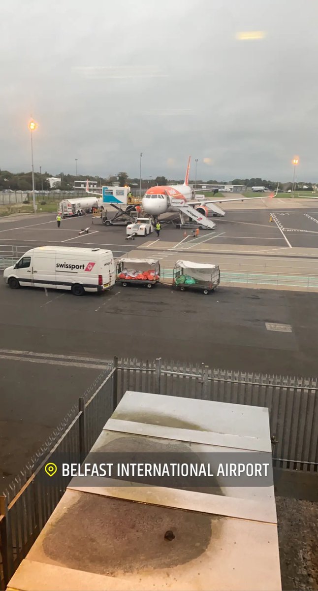 Suzanne Hamilton tweet media