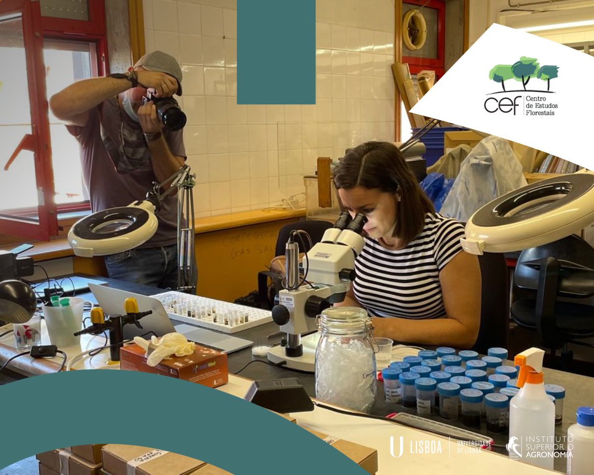 CEF_Research's tweet photo. CEF is a partner of the international project #CERES.
To present the methodology used by CEF in the Sorraia study area, we received the #project coordinator of GEIE #FORESPIR, Sebastien Chauvin.
Read more 👉 https://t.co/ROCxMPW0ne
#CEF @interregeurope @isagronomia @ULisboa_ https://t.co/Q3cELjDDbK