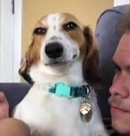 Nehayad39615928's tweet photo. When someone save my snap photo in chat .
Me : https://t.co/Pcz3tXk24G