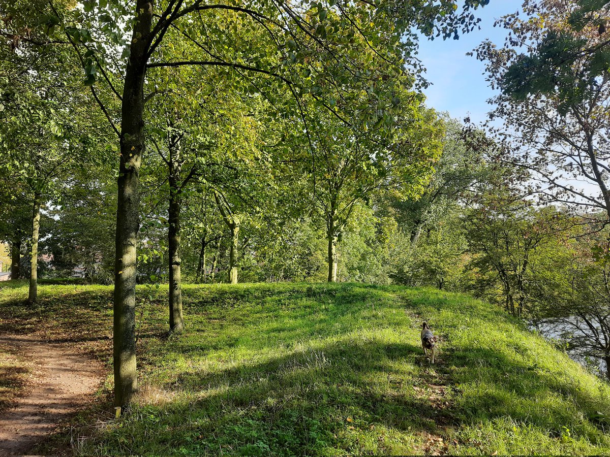 seeddoubt's tweet photo. A 5 km walk around the fortified town of Willemstad at a strategic point between North Brabant and South Holland. Its defenses withstood the Spanish in the 16th century, the French in the 18th century, but not the Germans in 1940. They added bunkers and antitank walls. #mapmywalk https://t.co/oqUuCOaiTS