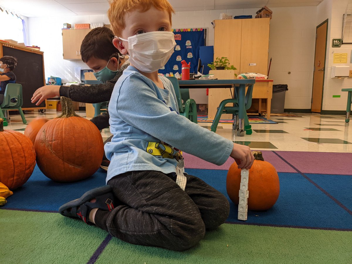 Practicing some non standard measurement with our pumpkins this week! @TreadwellMrs <a href="/ColesRoadrunner/">Coles Principal</a>