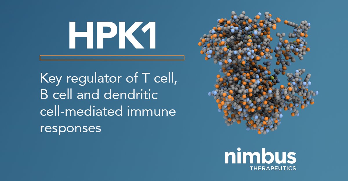 NimbusTx's tweet photo. This #TargetThursday, we’re highlighting HPK1. We’re developing small-molecule inhibitors of HPK1, which have shown potential to drive robust anti-tumor immune responses. Learn more: https://t.co/1kqgZ1H9BX https://t.co/6Kl6iBSScF