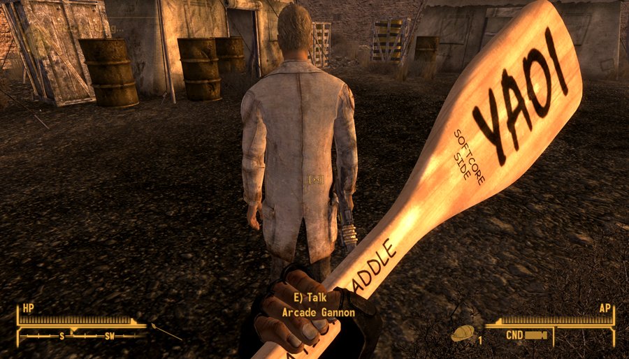 Fallout new vegas application load error