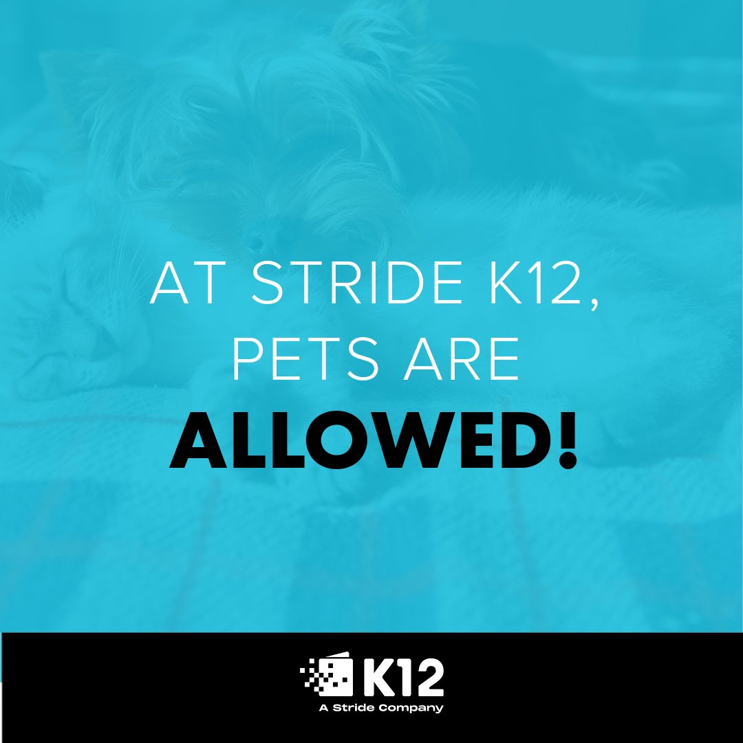 ginawrrn's tweet photo. We’re a safe option for student, families, teachers. Plus, pets are allowed! Tell us your reason is for choosing us? 
Read more about what parents are saying in our Covid-19 survey:  https://t.co/JZPudzzdXa https://t.co/jOoG4nv9TV