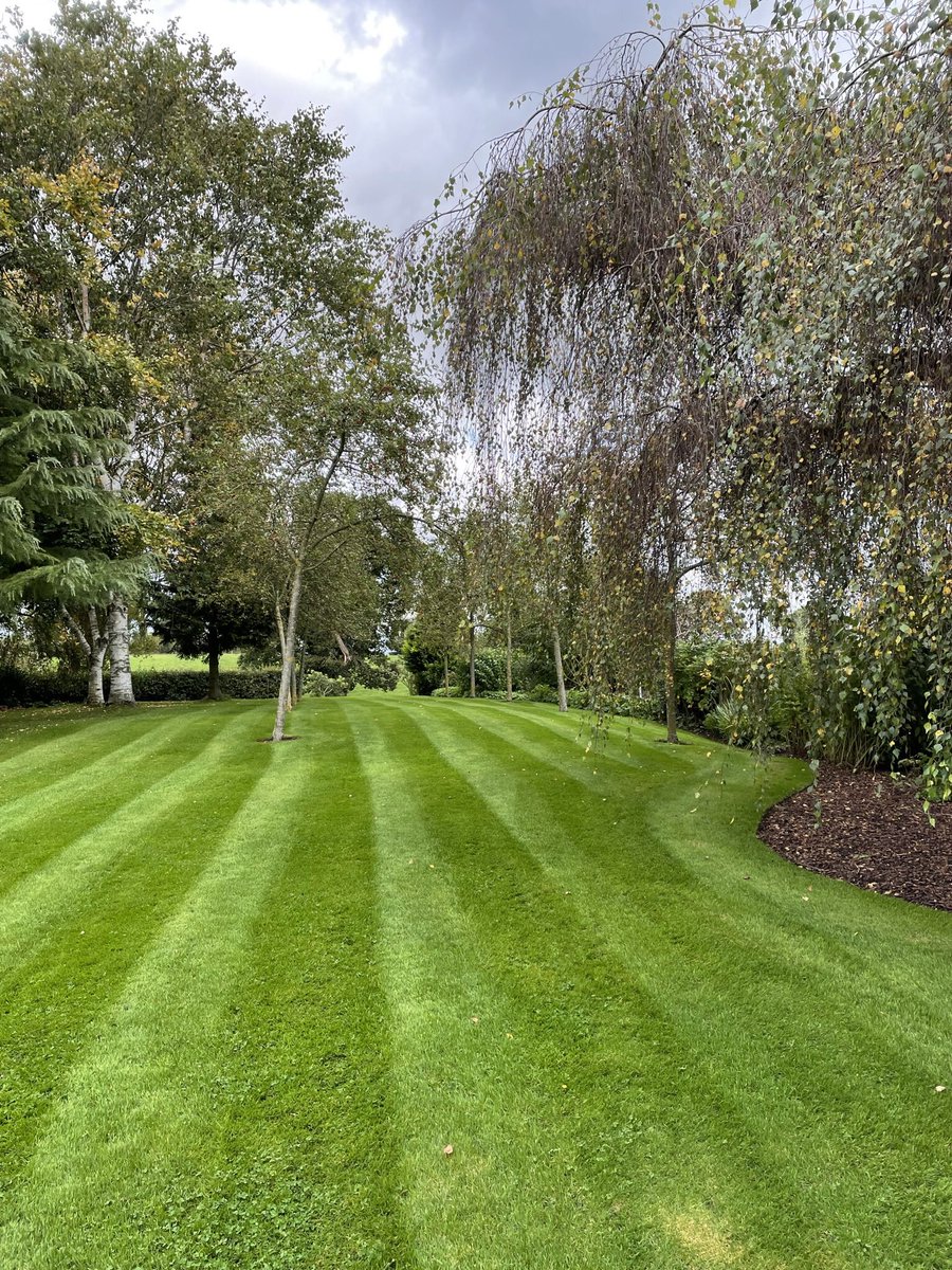 Geoff Barrow tweet media