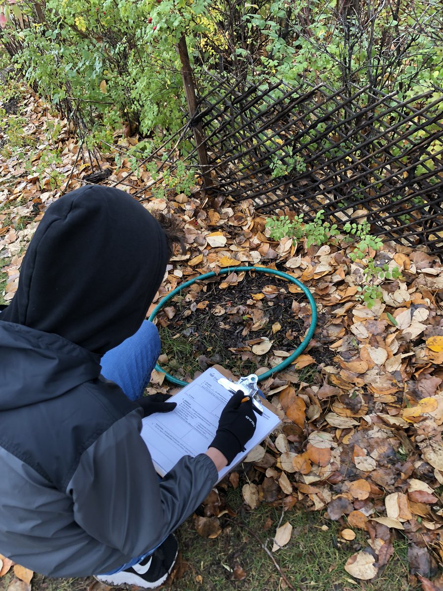 EmilyRForrest's tweet photo. Huge thanks to @FortWhyteAlive for giving us “Life Support” and teaching us about the importance of biodiversity. Special shout out to volunteer Joy for making it so fun! @nmcLRSD @Ennskids #WeeksWithoutWalls https://t.co/5znaSpNGQA