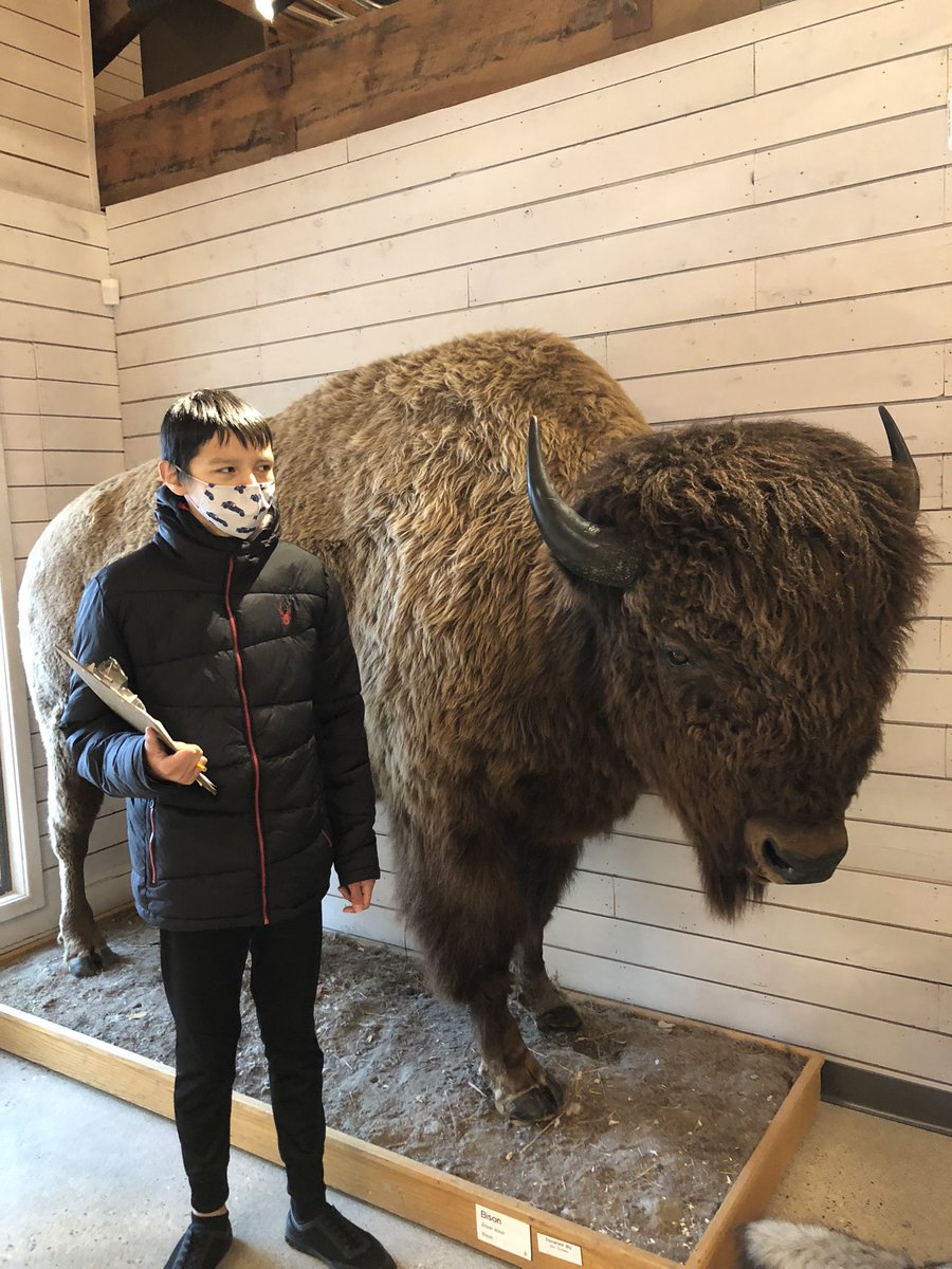 EmilyRForrest's tweet photo. Huge thanks to @FortWhyteAlive for giving us “Life Support” and teaching us about the importance of biodiversity. Special shout out to volunteer Joy for making it so fun! @nmcLRSD @Ennskids #WeeksWithoutWalls https://t.co/5znaSpNGQA