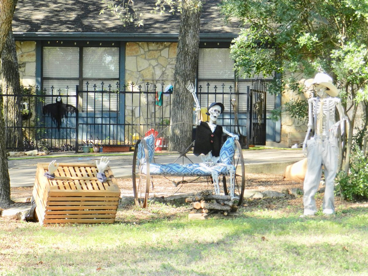 neocurio1's tweet photo. hAPPY HALLOWEEN #halloween #skeleton #inthefrontyard #wimberleytexas #neocurio https://t.co/Bzzj7jm8ek