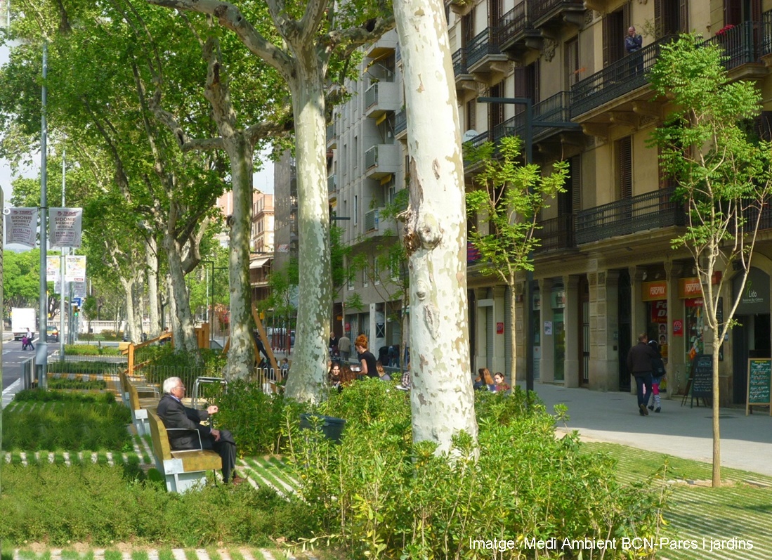 CREAF_ecologia's tweet photo. @EUROCITIES We agree with the need to slow down the pace in the city 🚲
Making them greener 💚🌳 and more sustainable is also a must. At CREAF we believe this and that's why we are researching Nature Based Solutions #NBS and #urbanforest. https://t.co/xOVTuENgVk