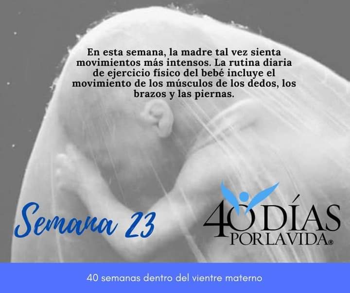 DignaProvida's tweet photo. #UnMilagroEs ver nacer a muchos bebés que iban a ser abortados y se les respetó la Vida https://t.co/Z9teVcIzb2