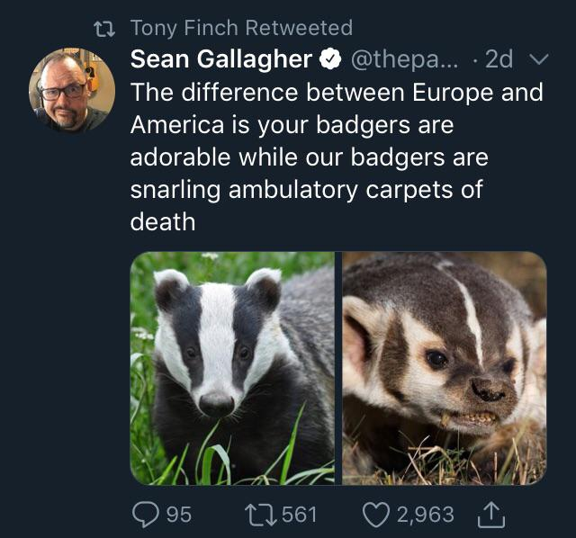 webbeoftheworld's tweet photo. @__BatCountry @CalamyJ @GigiEngle To be fair, America also has badgers... https://t.co/zC7bUIUQ1D