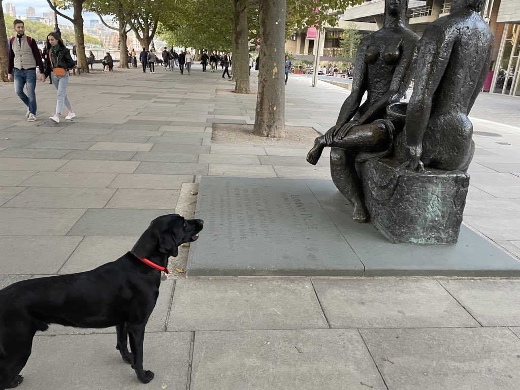 StuartWilsonRPI's tweet photo. Another busy day for Rafiki in London. Great to meet more new friends & go to a City pub for the first time. Wasn’t sure about the statue but tired out now & pleased to have made a 100 smiles @RPInsight @WeWork #DogThursday #labrador https://t.co/D9CRsTBHfq