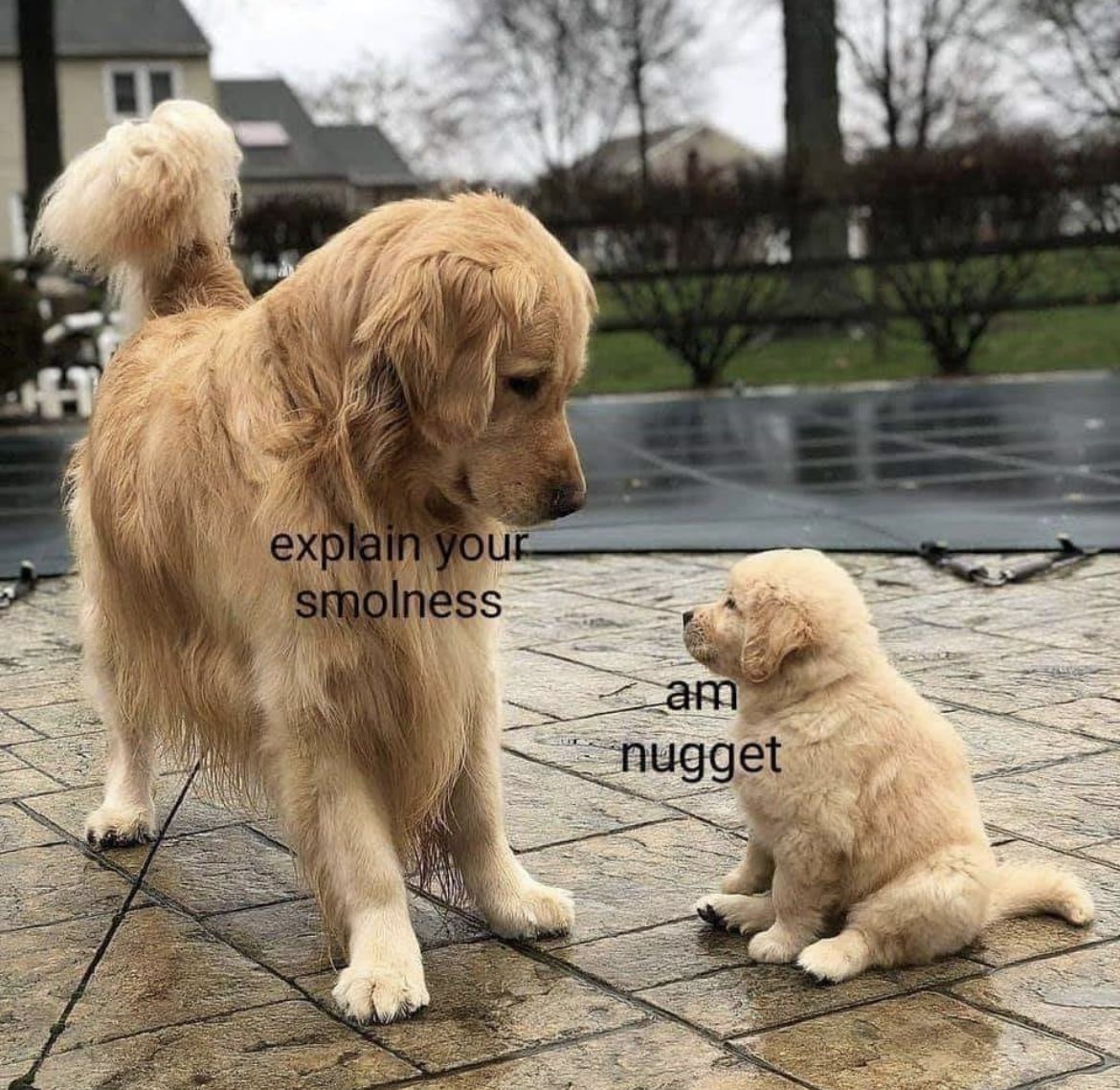 RespectfulMemes's tweet photo. https://t.co/u6zCpalIQH