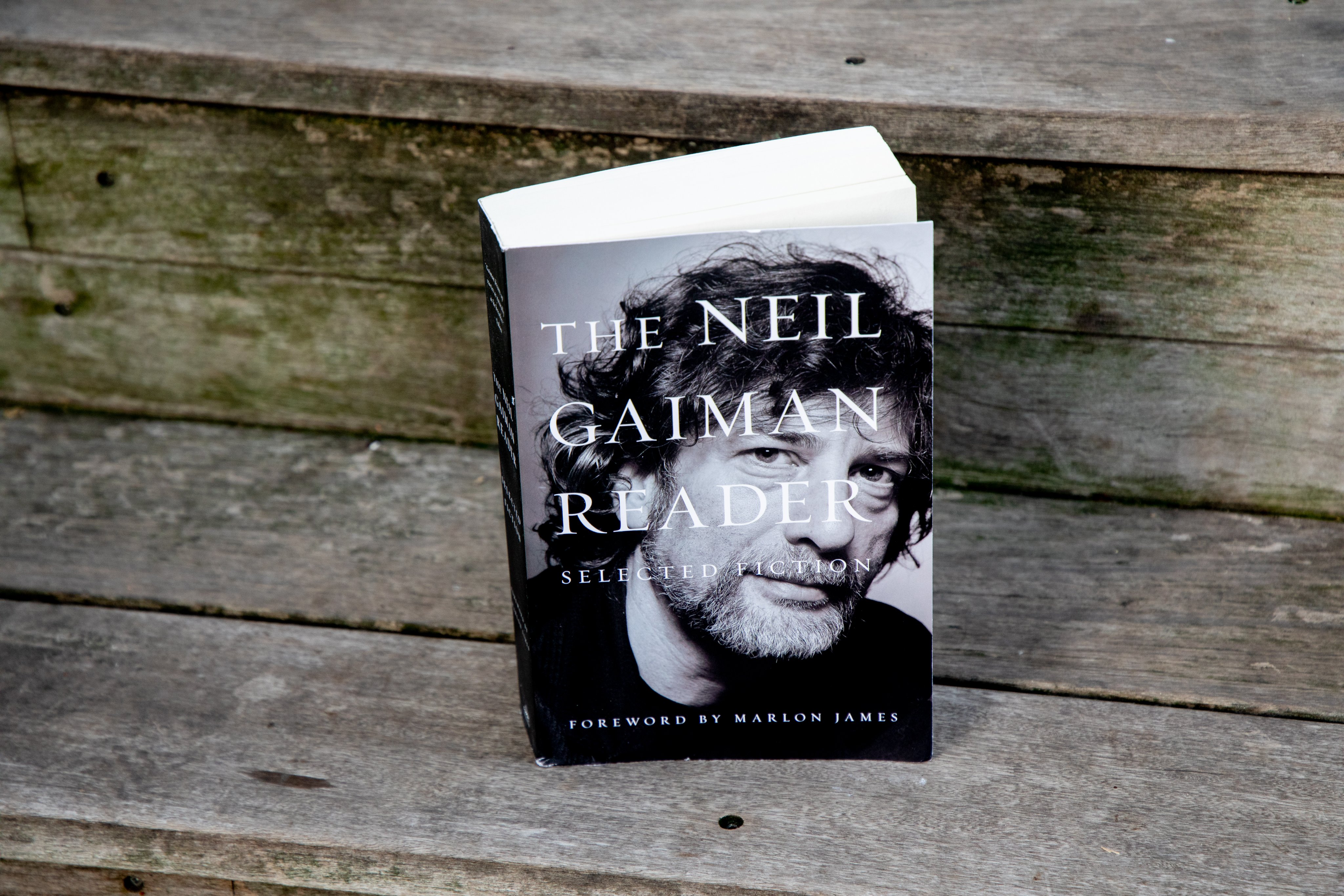 The neil gaiman reader deals
