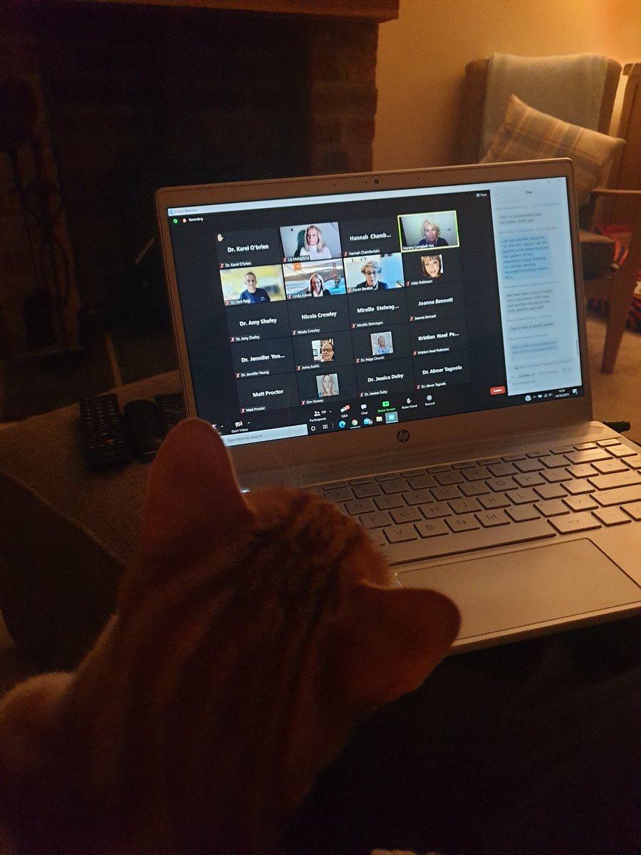 Hannah Chamberlain tweet media