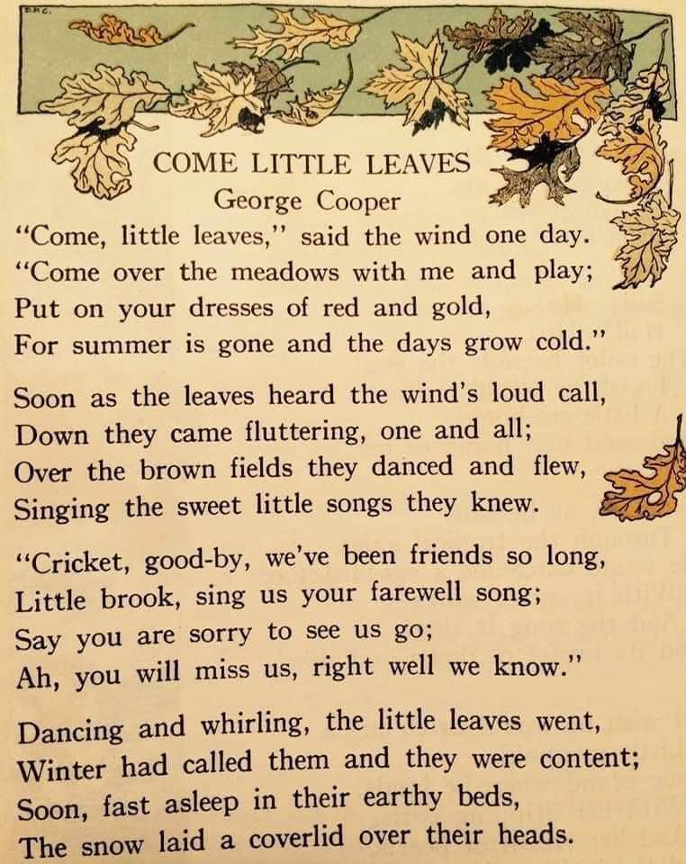 AlleynCourtFrst's tweet photo. #redandgold #Autumnleaves #dancinginthewind https://t.co/bwMgyEwzaH