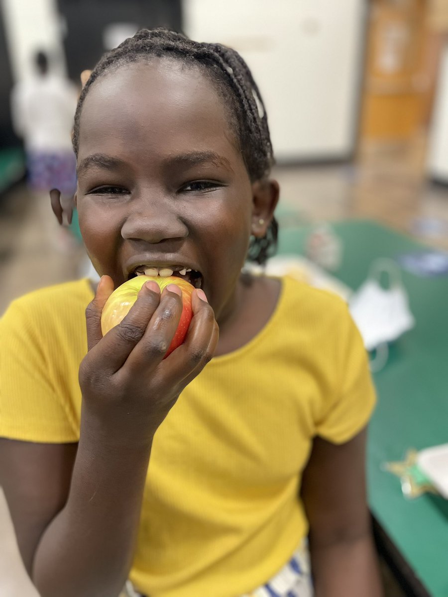 Heidi Howe tweet media