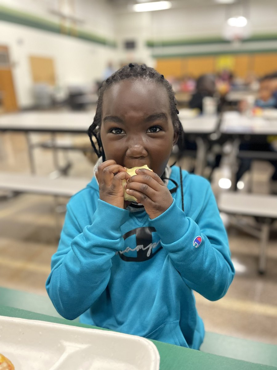 Heidi Howe tweet media