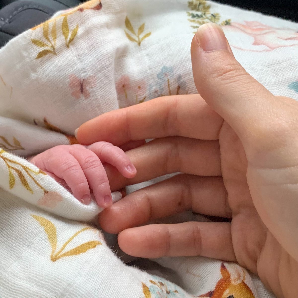 Me &amp; <a href="/beyondfinances/">Eric Roberge, CFP®</a> make a really amazing team in so many ways — but this is definitely the best thing we’ve ever created together 🥰