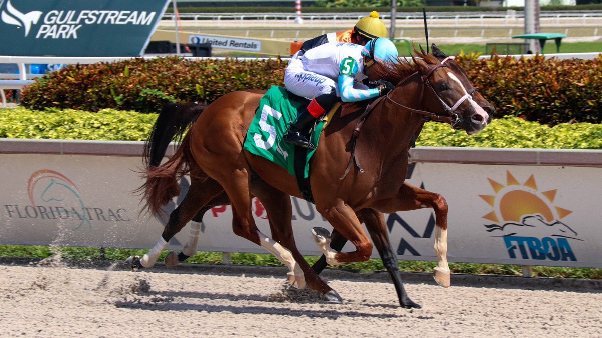 Gulfstream Park tweet media