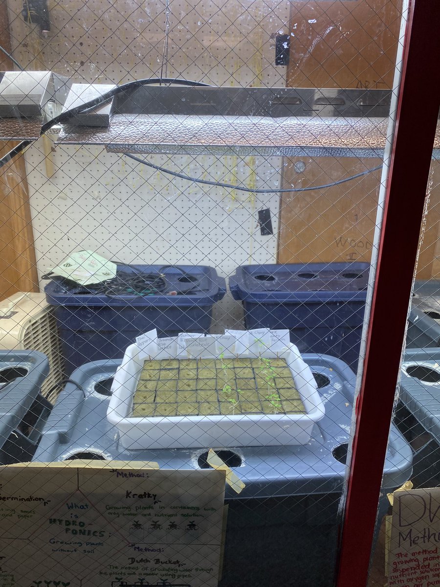 QuibbP's tweet photo. Hydroponics is back! Mr Batalas and the Quibbletown students nurturing new seedlings within the confines of our Hydroponic’s laboratory. https://t.co/qcxs0z4bSb