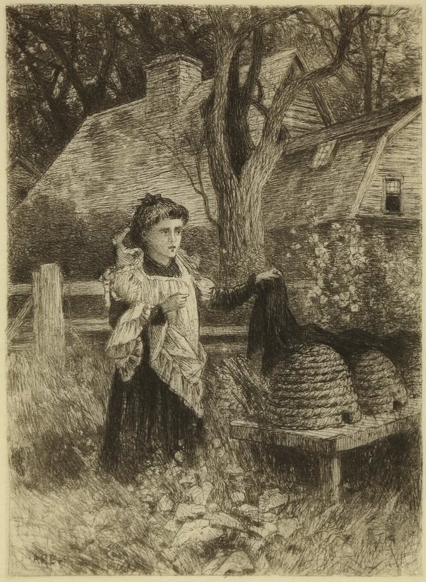 roseromaunt's tweet photo. “Telling the bees” is a European tradition which consists of alerting the bees to major events in the family, especially deaths. It was believed that failing to do so would require a penalty, and the members of the family would speak deeply and honestly to the hives. https://t.co/5WwlkAjBD7