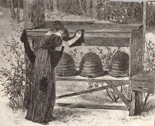 roseromaunt's tweet photo. “Telling the bees” is a European tradition which consists of alerting the bees to major events in the family, especially deaths. It was believed that failing to do so would require a penalty, and the members of the family would speak deeply and honestly to the hives. https://t.co/5WwlkAjBD7