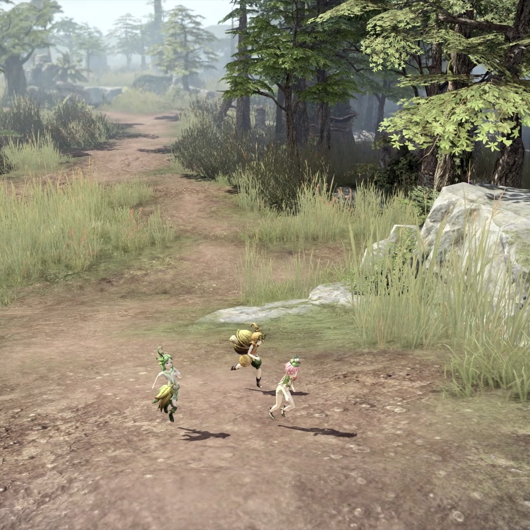 Lost Ark on Twitter "You can explore 🌰 Cashew Tree Forest! But to