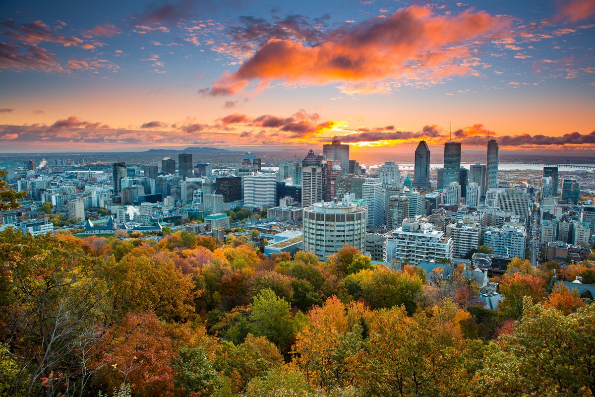 Montréal tweet media