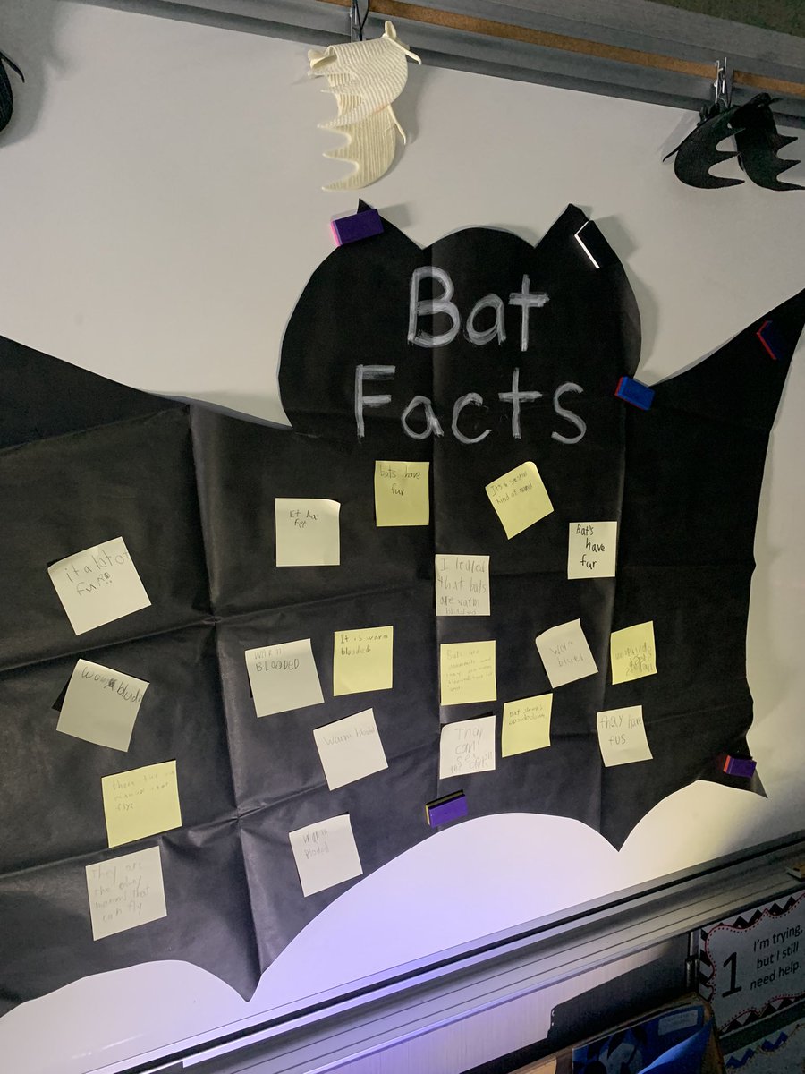 MrsKinnaman's tweet photo. I got to visit a bat cave today in Mrs. Westgate’s second grade class! Learning and sharing bat facts. https://t.co/fFlMYuBJFm