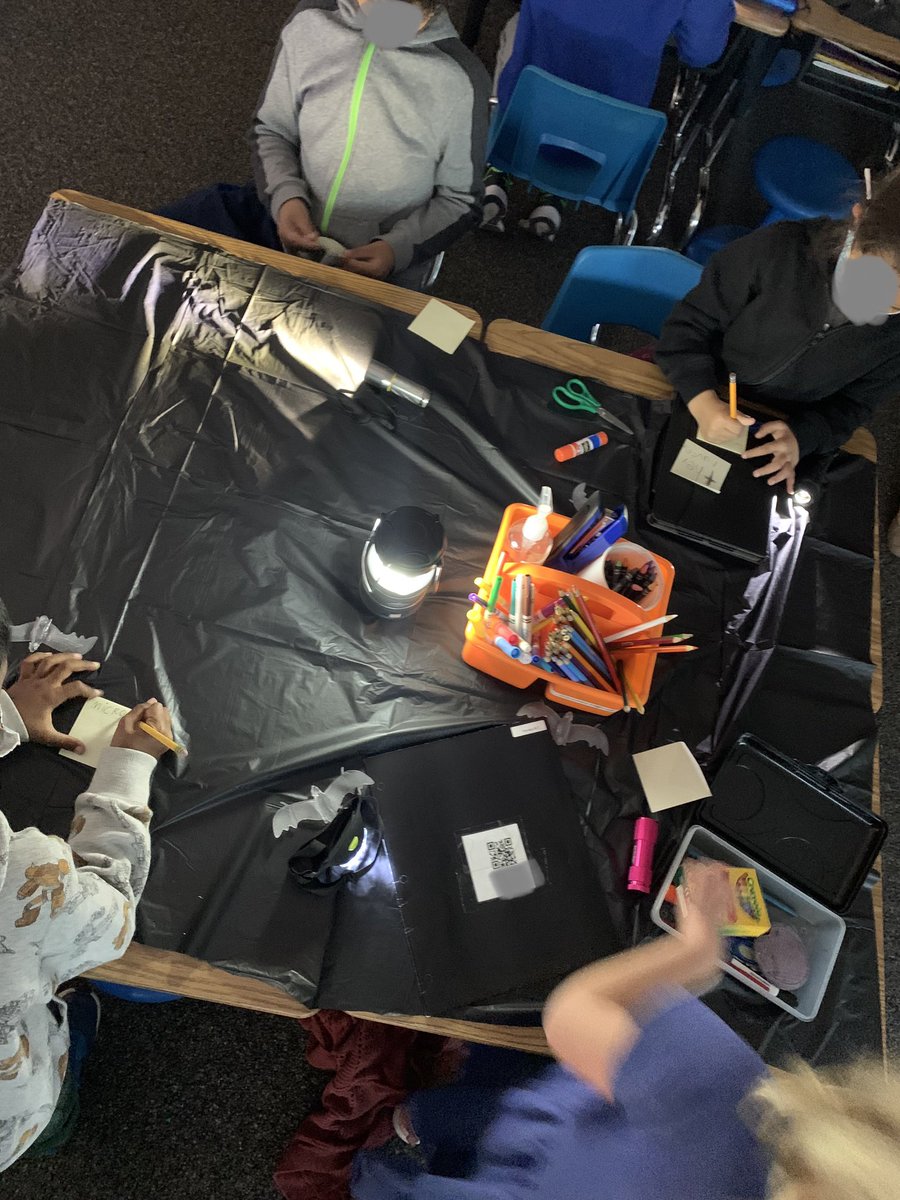 MrsKinnaman's tweet photo. I got to visit a bat cave today in Mrs. Westgate’s second grade class! Learning and sharing bat facts. https://t.co/fFlMYuBJFm