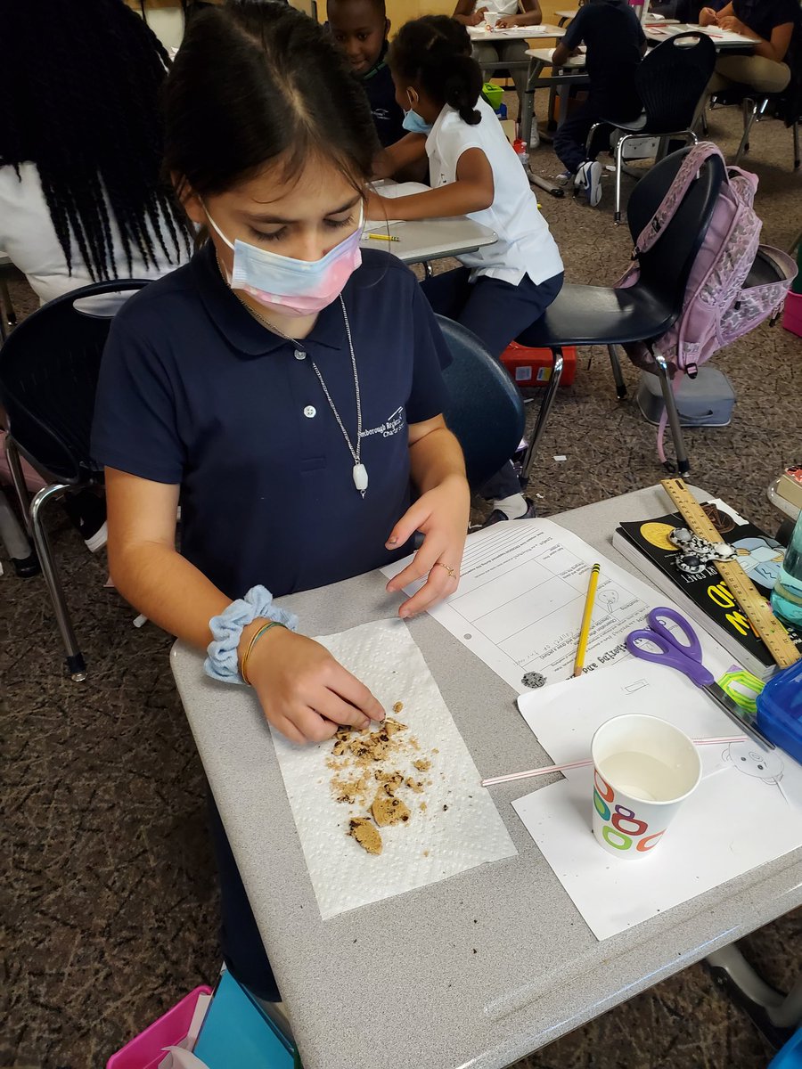 Fauvelle's Fabulous Fourth Graders tweet media