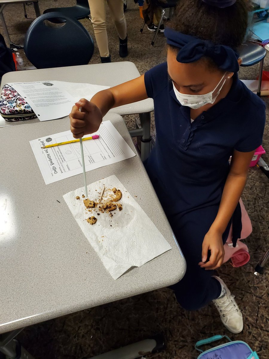 Fauvelle's Fabulous Fourth Graders tweet media