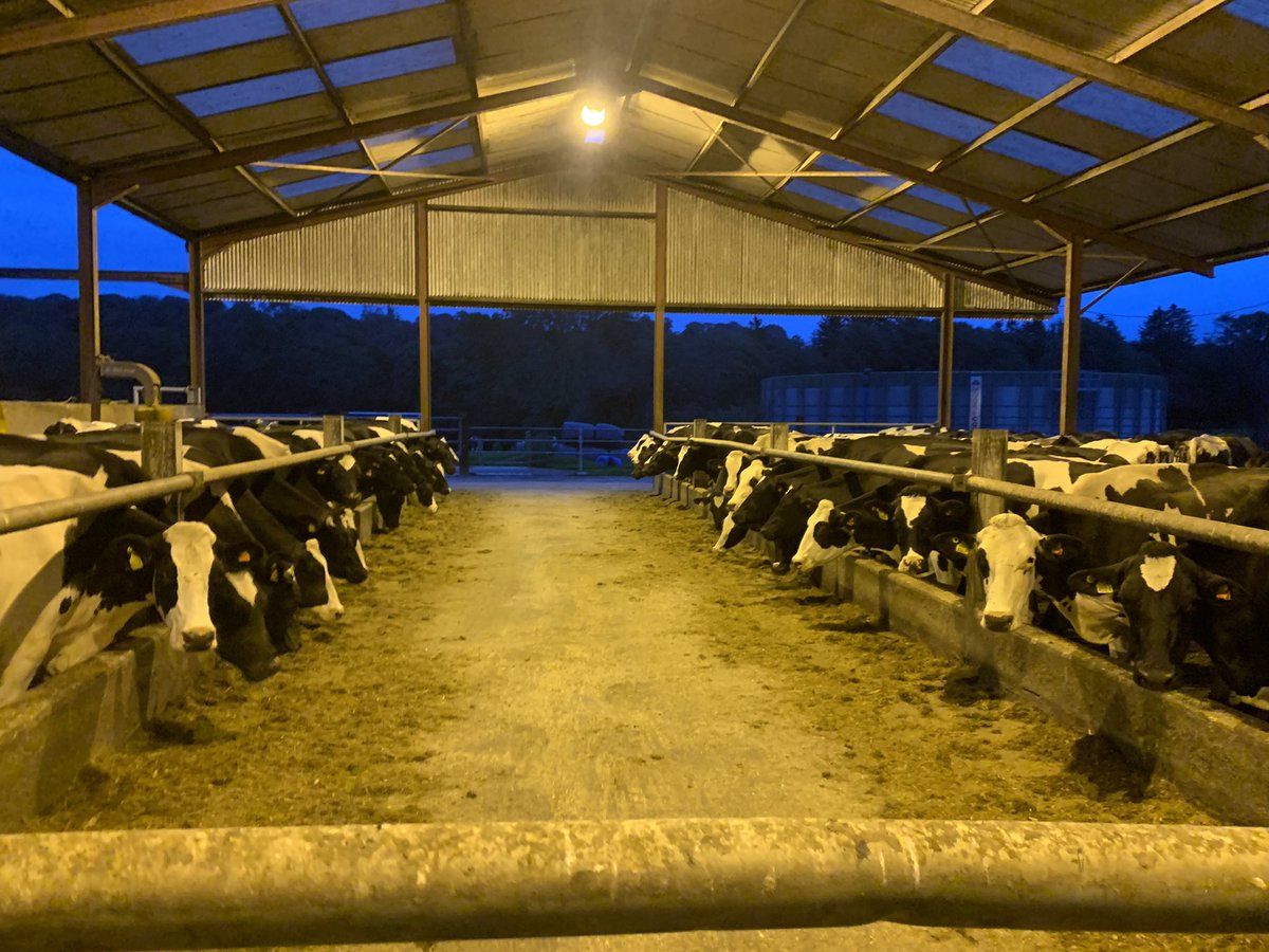 Barkley Dairy Solutions Ltd. 🐄🐄 tweet media