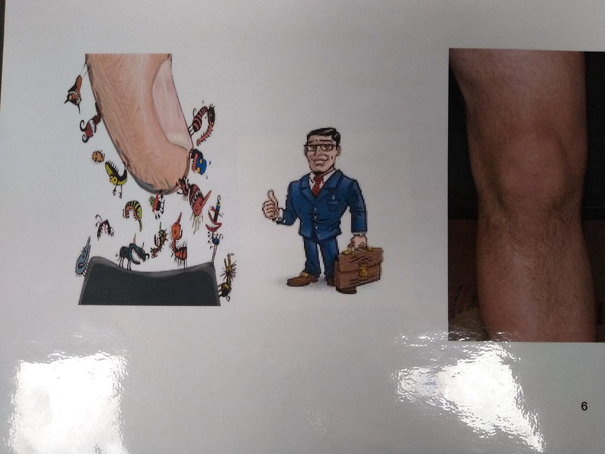 HPSGeography tweet media