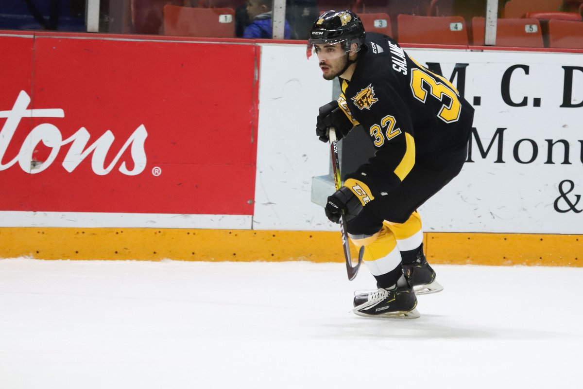 Brandon Wheat Kings tweet media