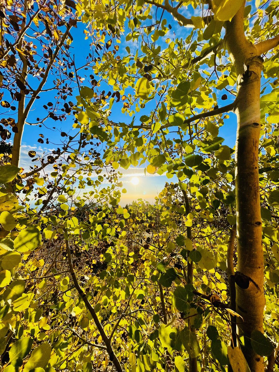 LuzElisuhh's tweet photo. What a great Sunrise Birthday Hike with my Mili❤️ #505Life https://t.co/U1jVv0Tvy2