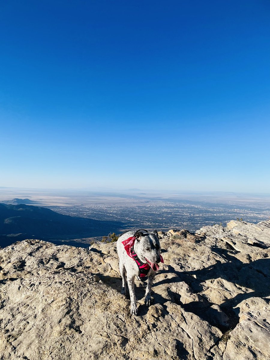 LuzElisuhh's tweet photo. What a great Sunrise Birthday Hike with my Mili❤️ #505Life https://t.co/U1jVv0Tvy2