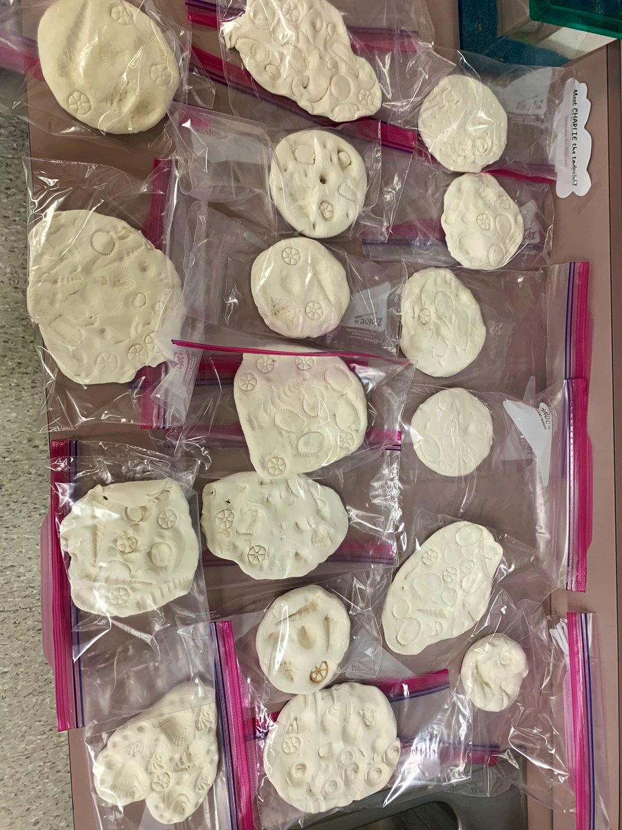 Ask us about fossils! #WeAreBrookside