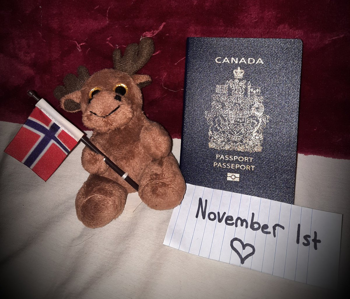 EmberStoner tweet media