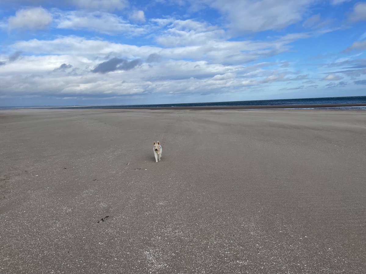 Lovely 🌤afternoon at Tentsmuir Sands NNR 🏖 🦭