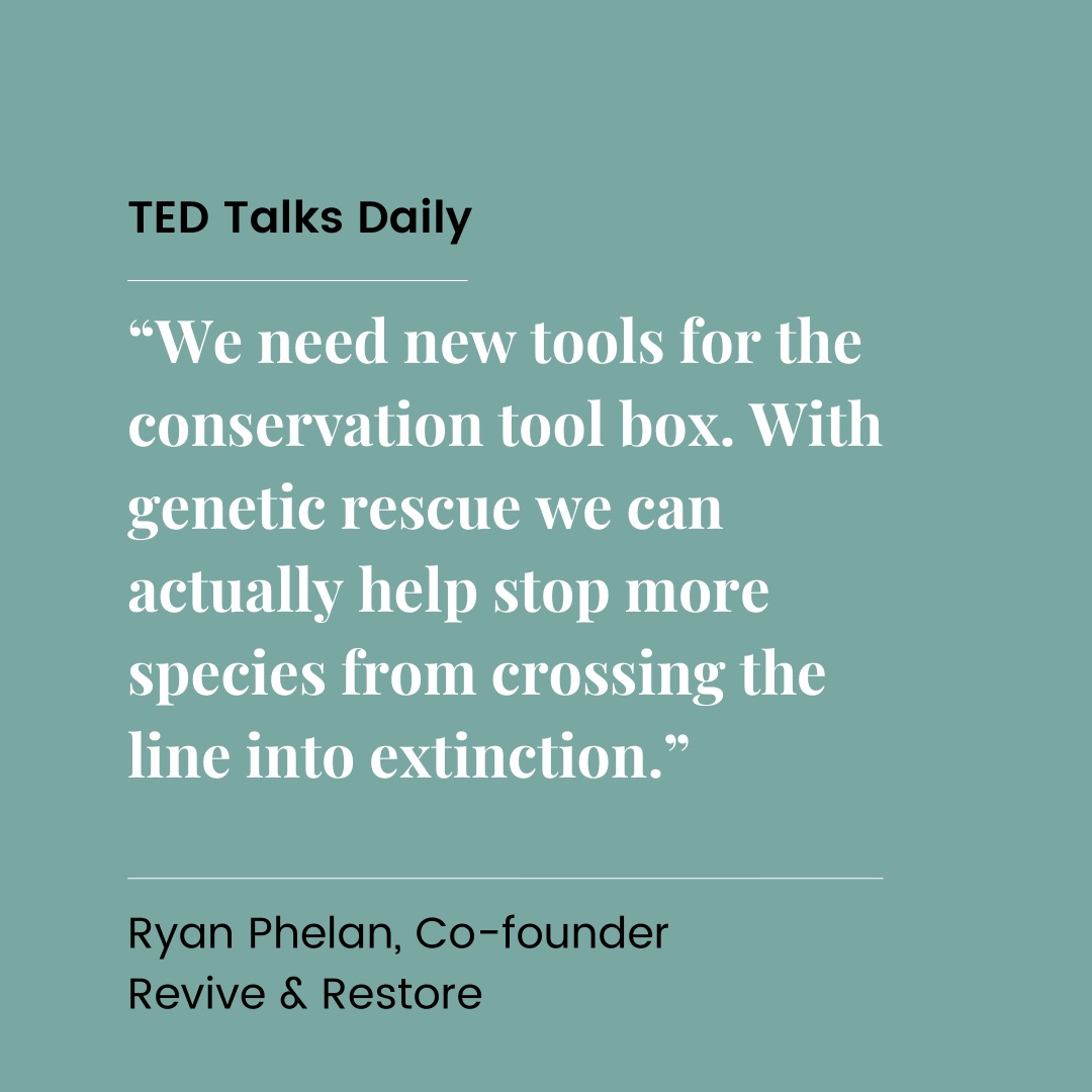Revive_Restore's tweet photo. Click the link to listen to  @Ryanphelan6's @TEDTalks on the @TEDTalksDaily podcast! We must embrace the potential power of #genetic tools to save #species instead of letting fear of unintended consequences drive them to #extinction. 

https://t.co/y6IHxb2eZf https://t.co/WnZREavrVb