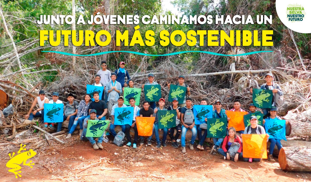 RainforestALLMX's tweet photo. Con el CBTF No7 y la @UTCalakmul trabajamos con más de 80 jóvenes de 25 ejidos en el municipio de #Calakmul para construir formas innovadoras para el uso, aprovechamiento y manejo sustentable de sus ecosistemas y patrimonios #bioculturales. #NuestraSelvaNuestroFuturo🌳🙋🏽‍♀️🙋🏻‍♂️🙋🏻 https://t.co/B85SRwz36G