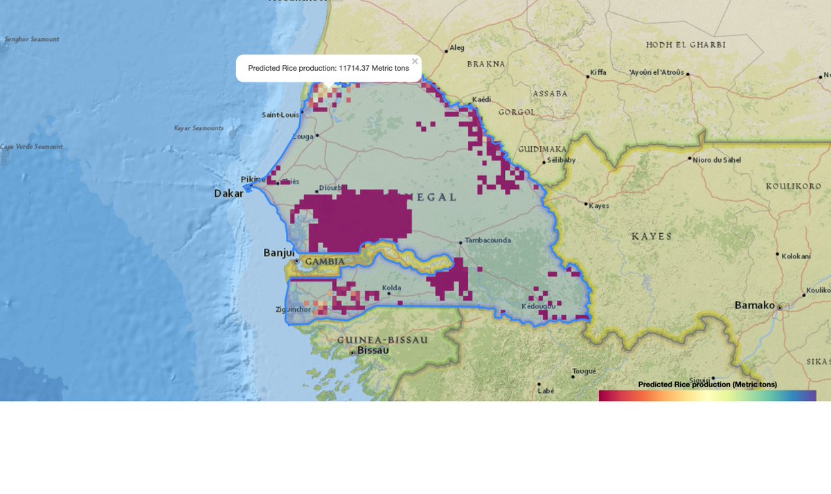 AAgWa_News's tweet image. #ScienceMinute 

In 2020, the predicted rice production in Dagana reached  11714,37 metric tons.   

Learn more: aagwa.org
