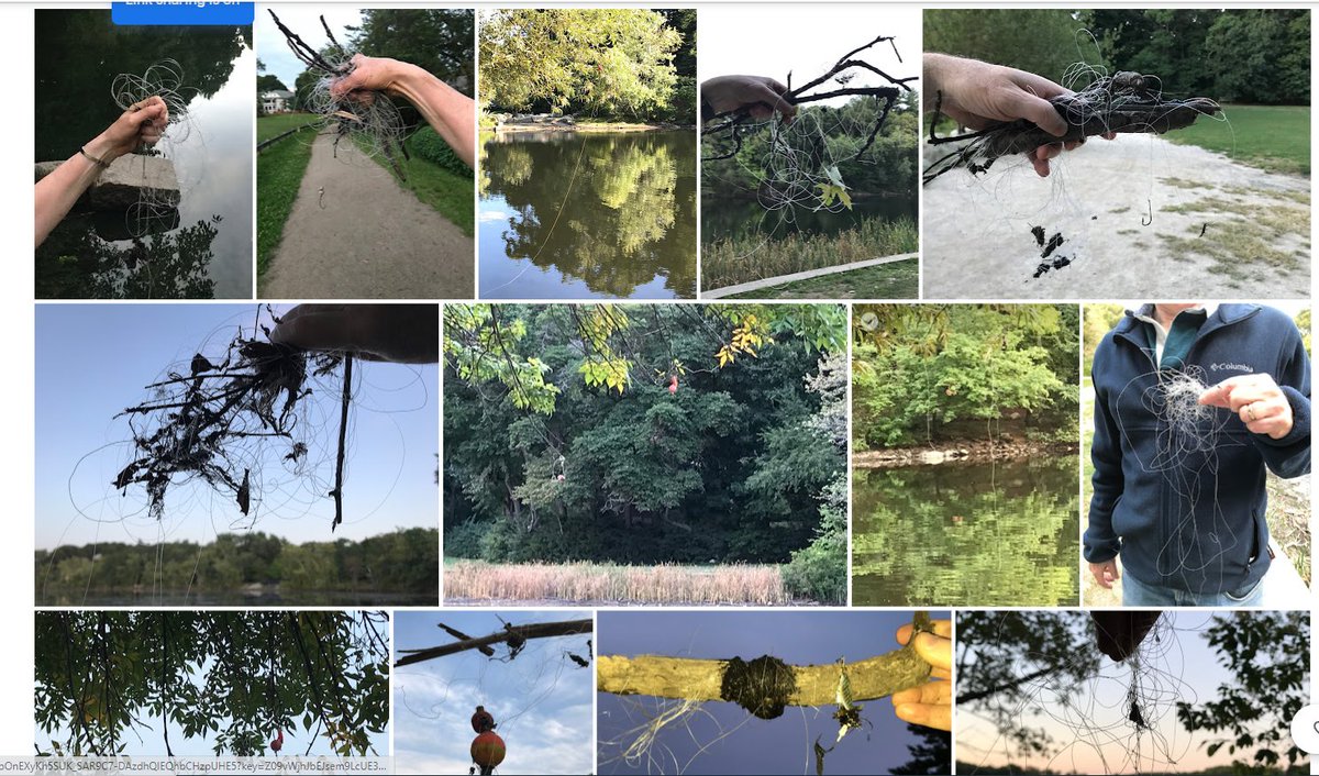 Help Sought to Eliminate Abandoned Fishing Line at #ArlingtonMA Parks&amp;Waterbodies. Parks &amp; Recreation Commission is looking for community members to serve on a working group to investigate possible solutions. If interested email Recreation Director  jconnelly@town.arlington.ma.us