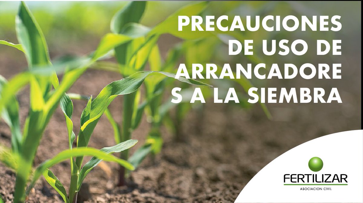 Te invitamos a hacer un repaso de la importancia del correcto uso de arrancadores a la siembra en nutrientes, dosis y en posición para evitar toxicidad
fertilizar.org.ar/wp-content/upl…