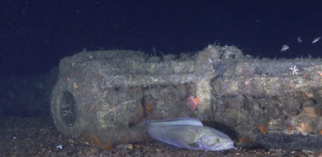oceanexplorer's tweet photo. #DiscoveryAlert: After nearly 2 decades of searching, @NOAA, @USCG, & partners have found final resting place of one of most historically significant ships in U.S. history: U.S. Revenue Cutter Bear.
Full story: https://t.co/OxprdKDI66 https://t.co/0hshhgCT5J